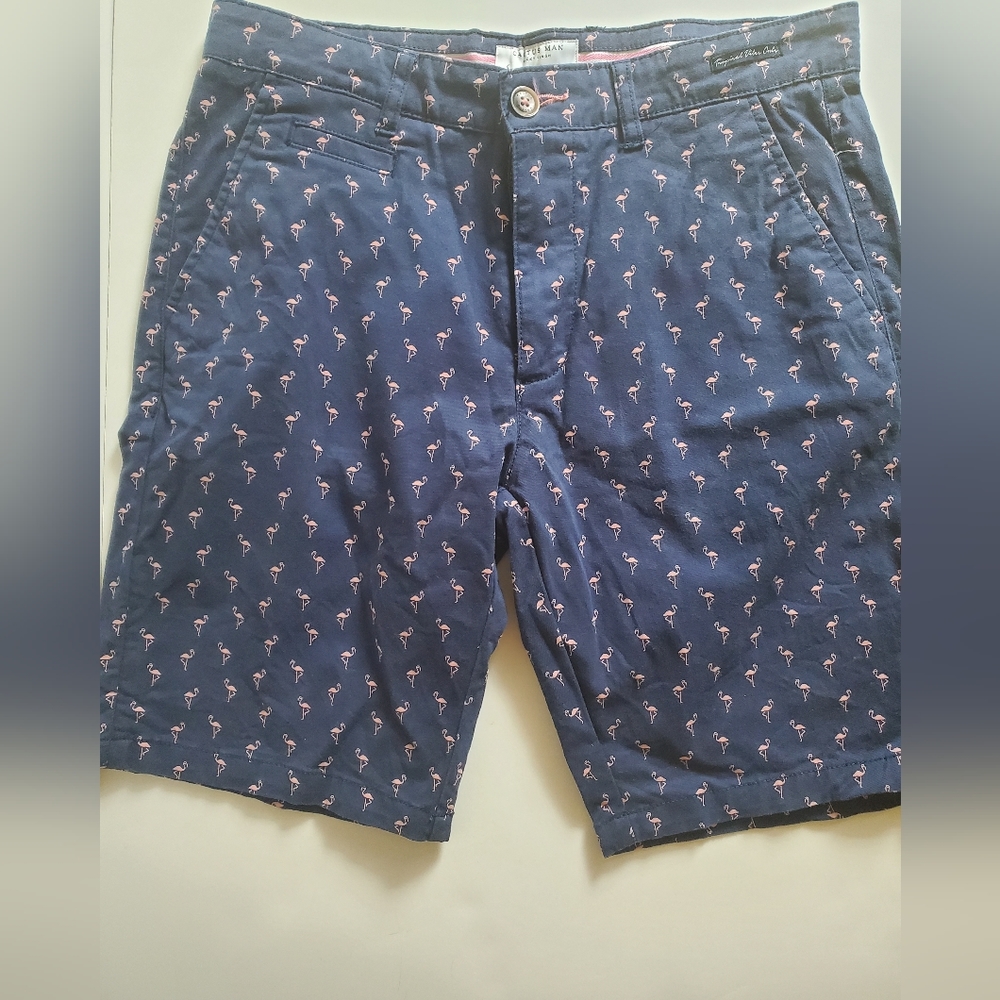Cactus Man Bermuda Shorts size 30
